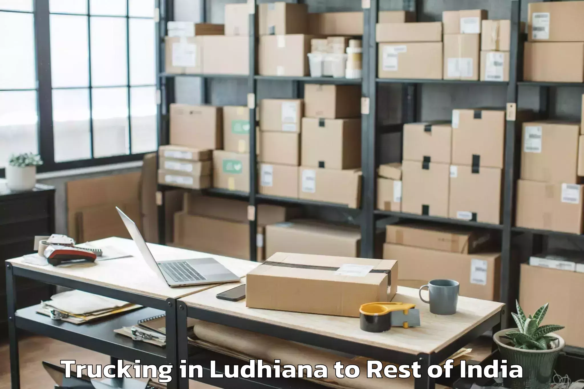 Leading Ludhiana to Mechuka Trucking Provider